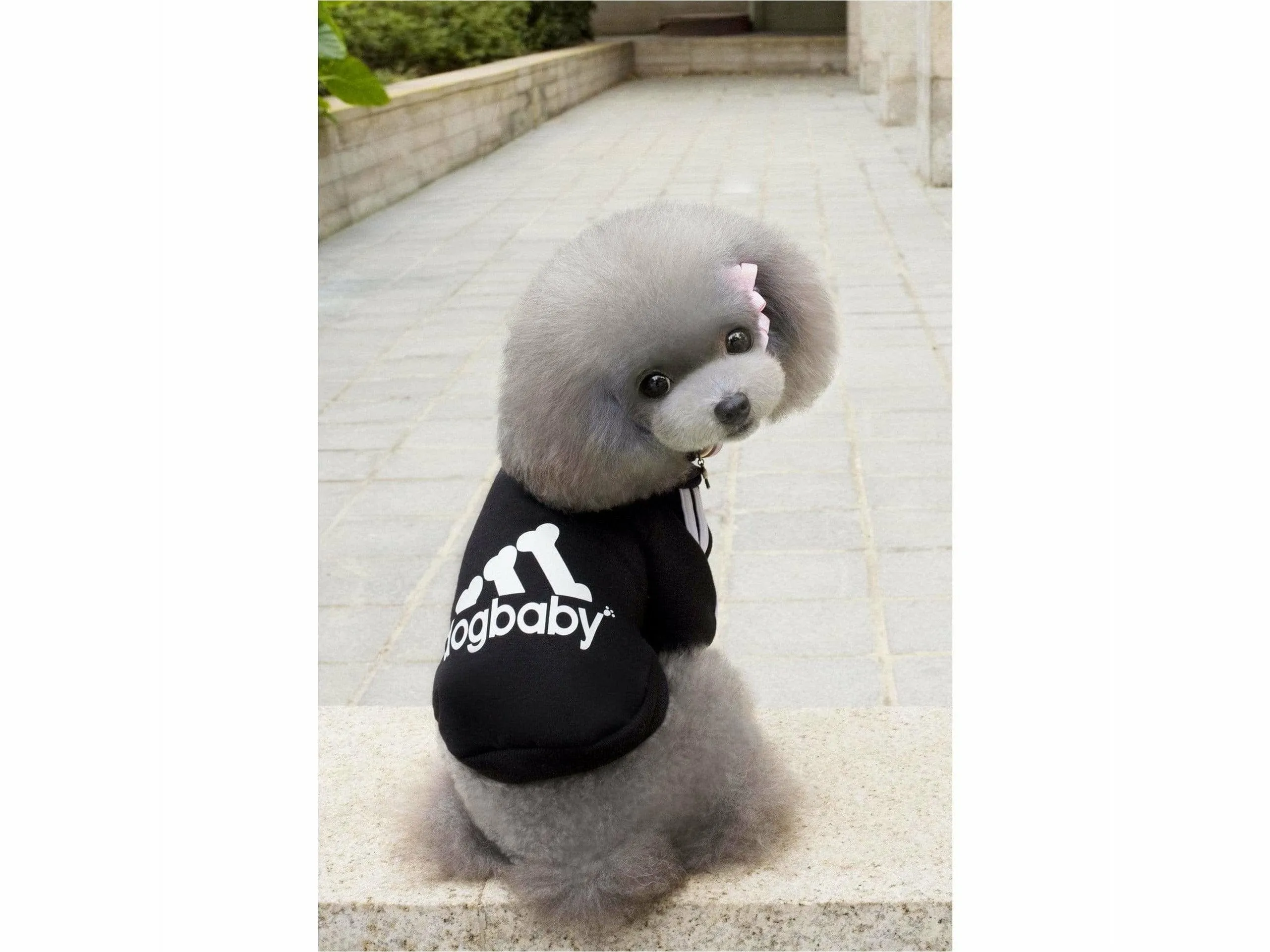 dog clothes Black XS L-83