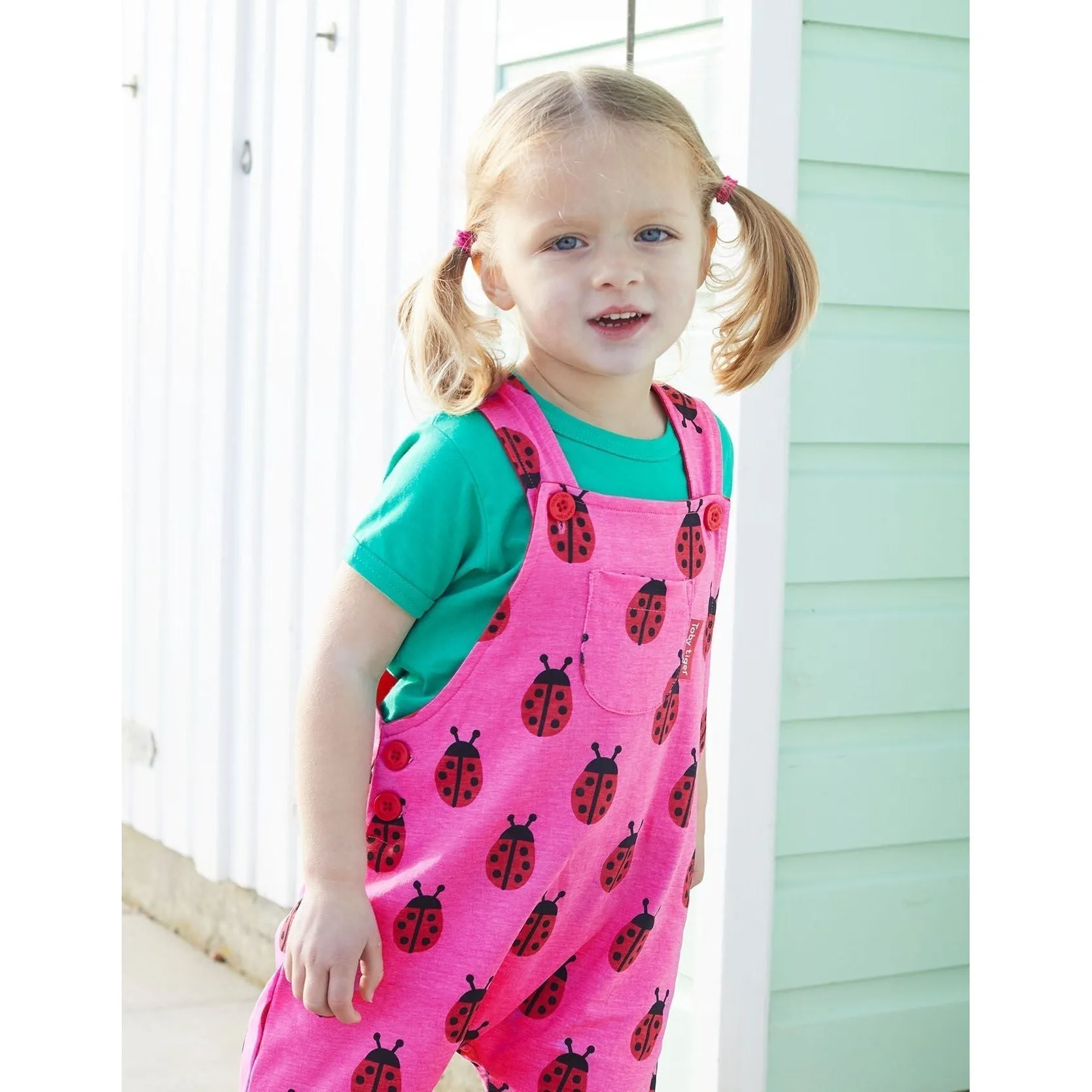 Ladybird Dungarees - 1 Left Size 3-6 months